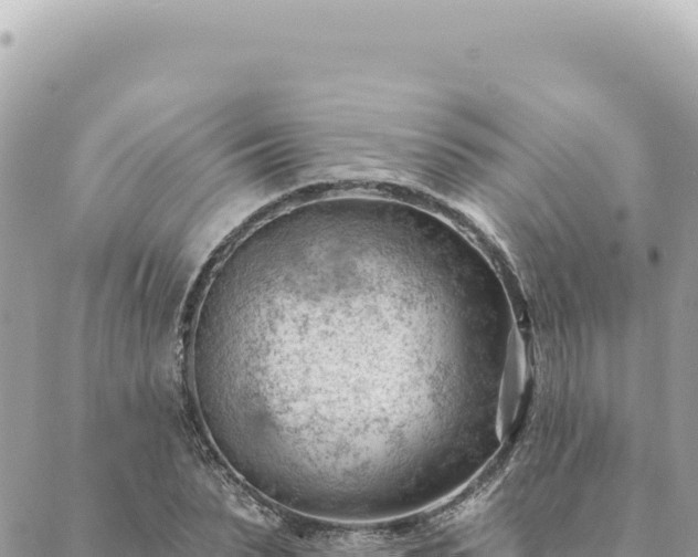 X0000088610879200706011225