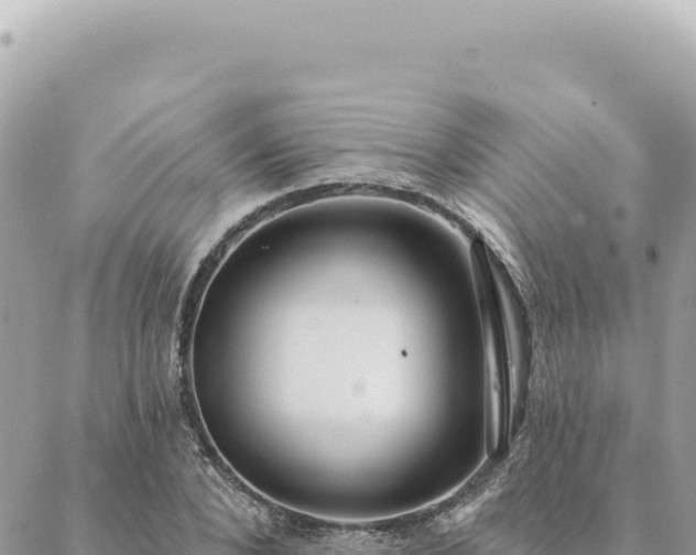 X0000088610880200706011225