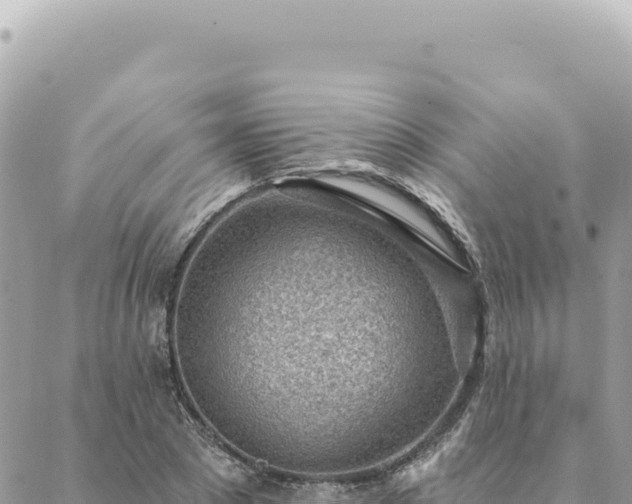 X0000088610881200706011225