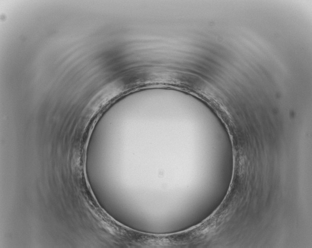 X0000088610882200706011225