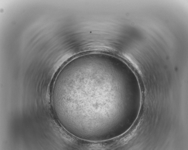 X0000088610883200706011225