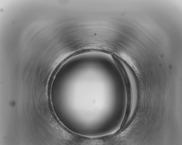 X0000088610884200706011225