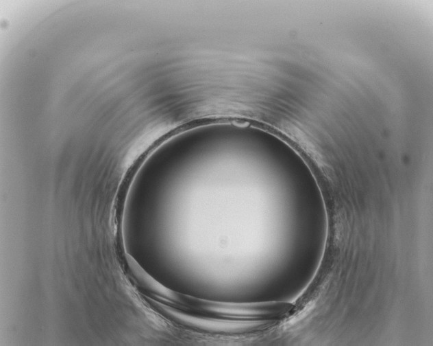 X0000088610885200706011225