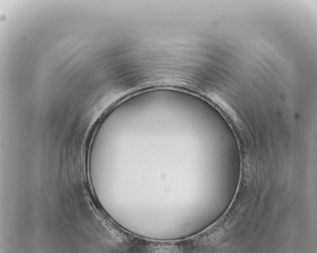 X0000088610886200706011225