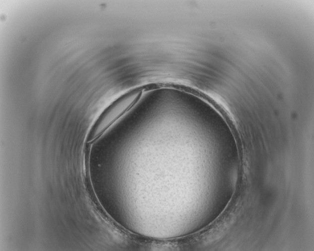 X0000088610887200706011225