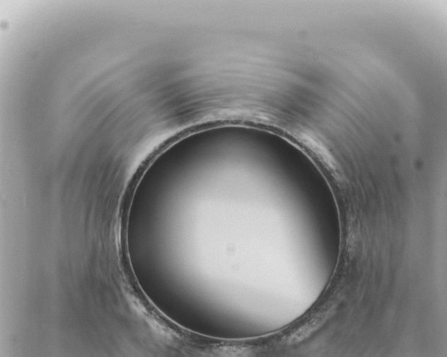 X0000088610888200706011225