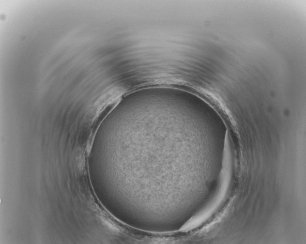 X0000088610889200706011225