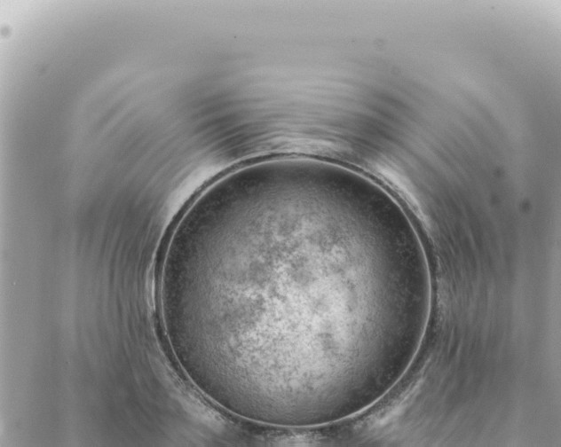 X0000088610891200706011225