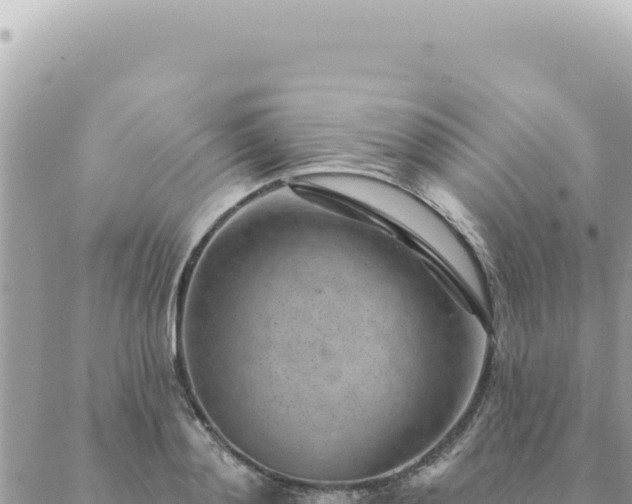 X0000088610892200706011225