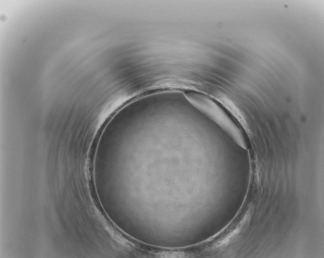 X0000088610893200706011225