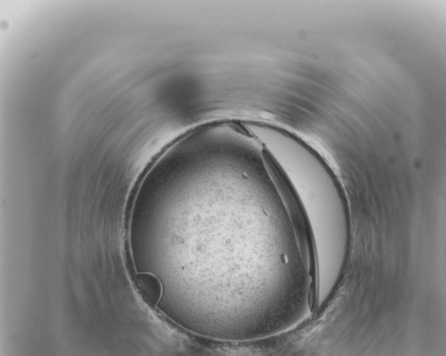 X0000088610895200706011225