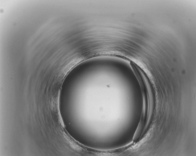 X0000088610897200706011224