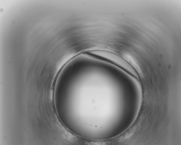 X0000088610900200706011224