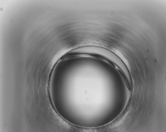 X0000088610901200706011224