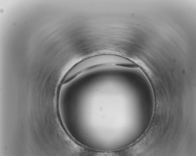 X0000088610902200706011224