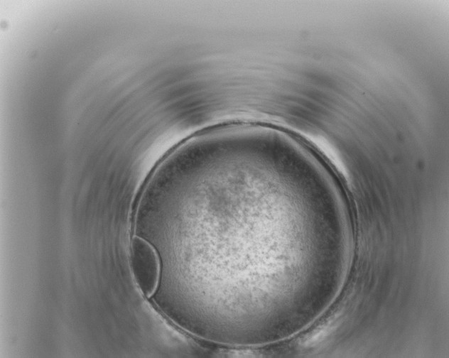 X0000088610903200706011224