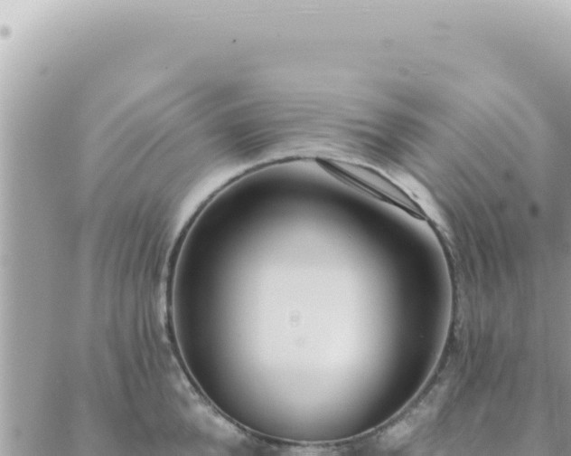 X0000088610904200706011224