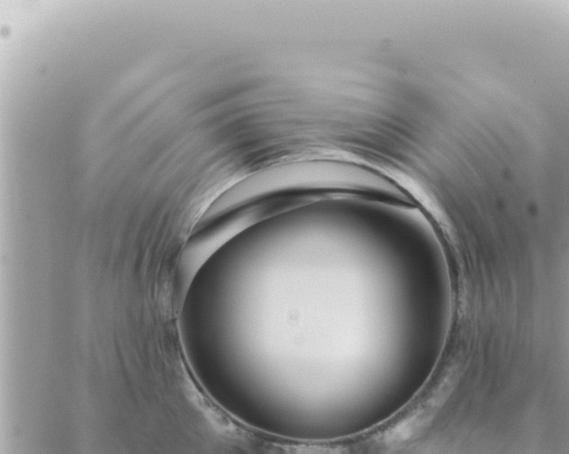 X0000088610905200706011224