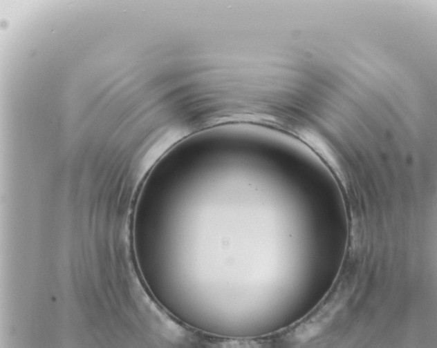 X0000088610906200706011224