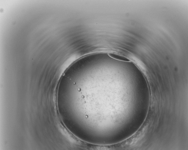 X0000088610907200706011224