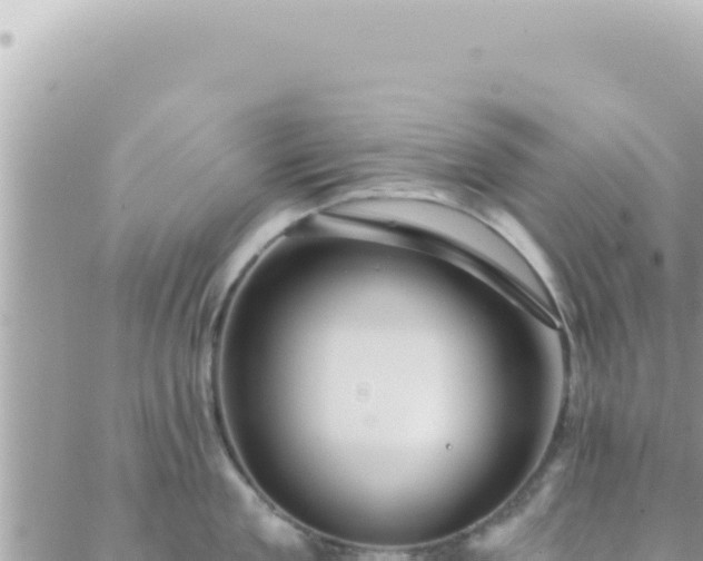 X0000088610909200706011224