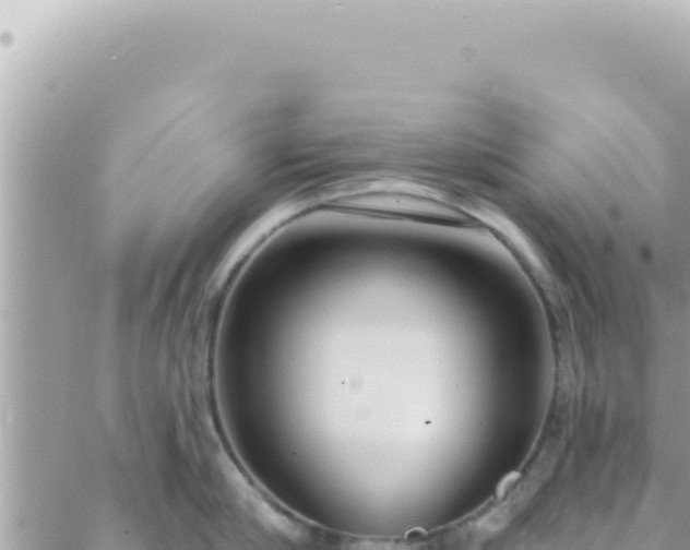 X0000088610910200706011224