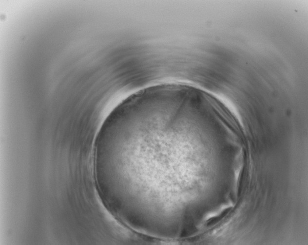 X0000088610911200706011224