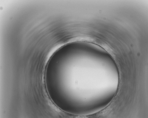 X0000088610912200706011224