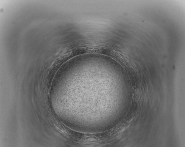 X0000088610913200706011223