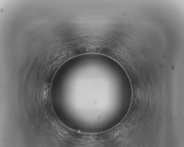 X0000088610914200706011223