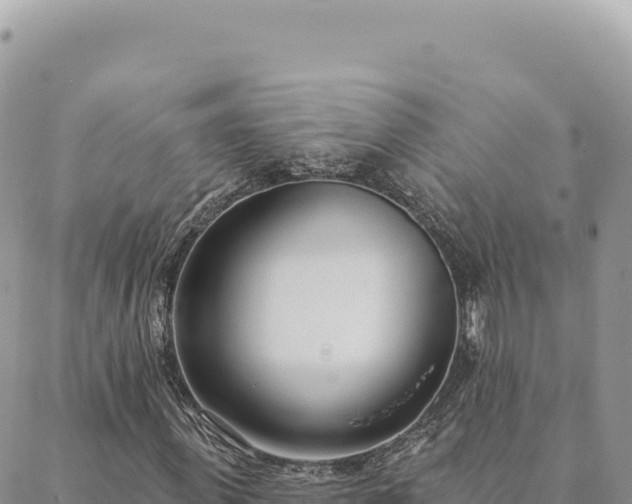 X0000088610915200706011223