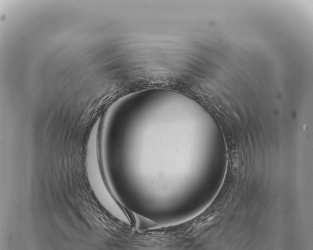 X0000088610916200706011224