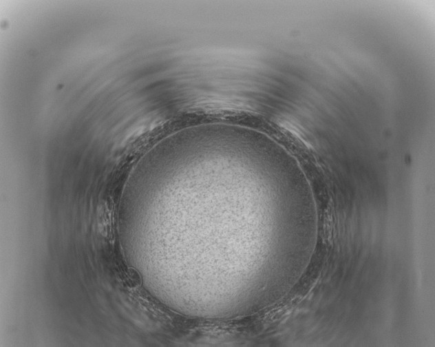 X0000088610917200706011224