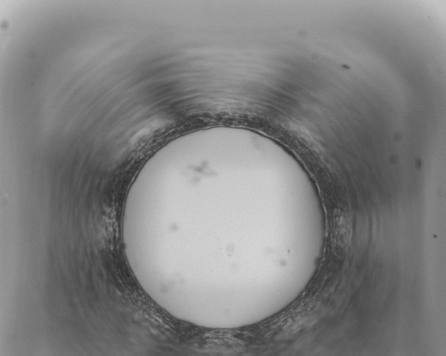 X0000088610918200706011224