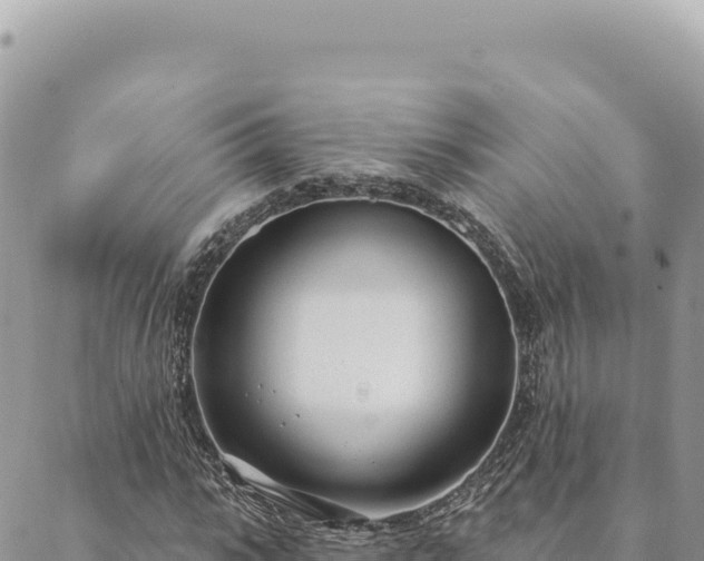 X0000088610919200706011224