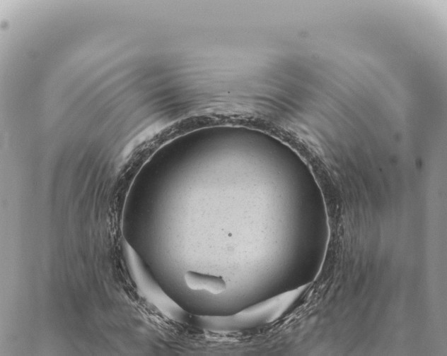 X0000088610920200706011224