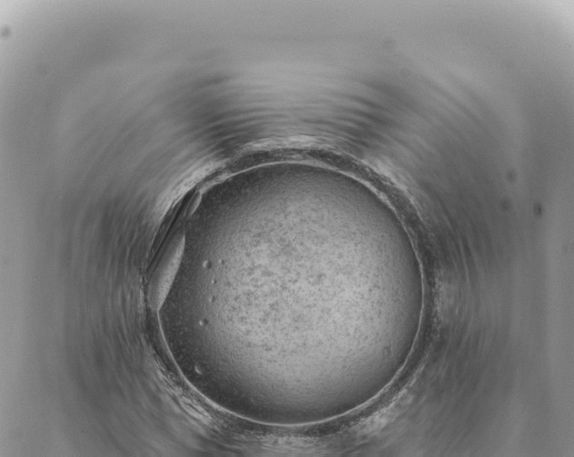 X0000088610921200706011224