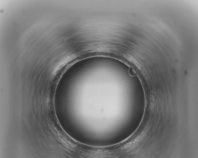 X0000088610922200706011224