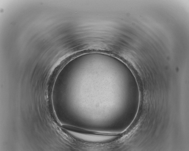 X0000088610923200706011224