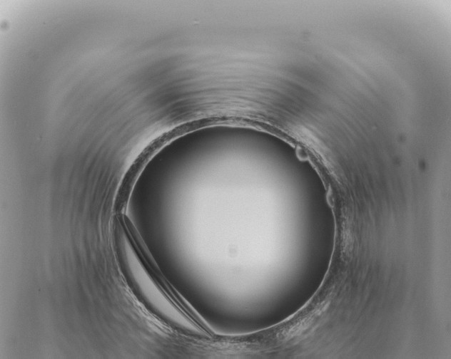 X0000088610924200706011224