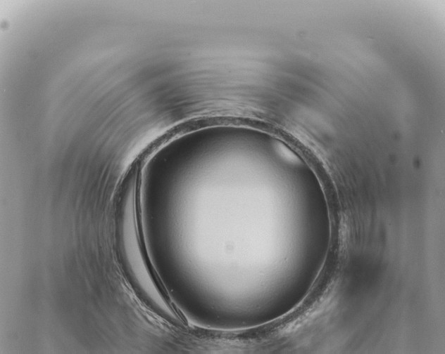 X0000088610925200706011224