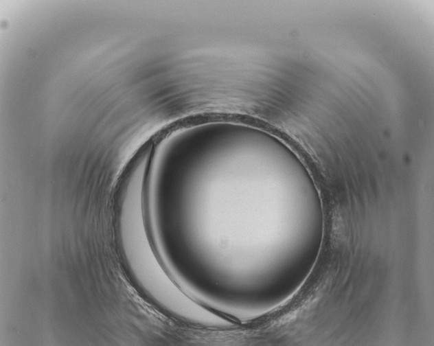 X0000088610926200706011224