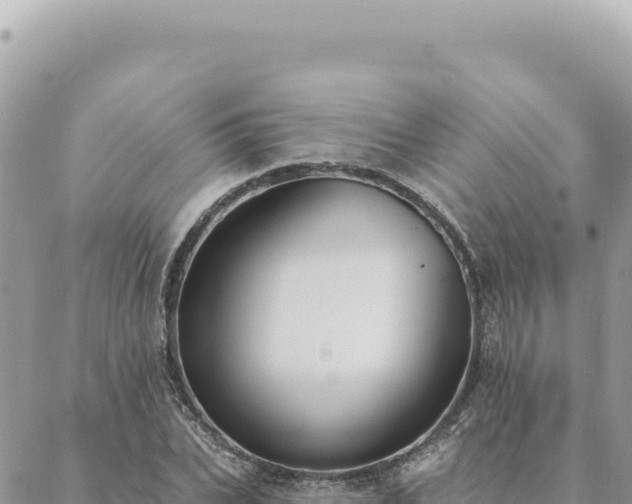 X0000088610927200706011224