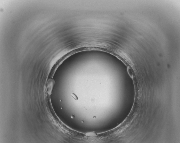 X0000088610928200706011224