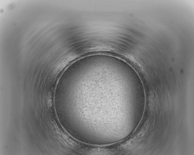 X0000088610929200706011224