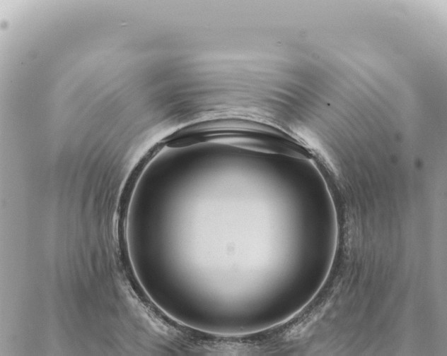 X0000088610932200706011224