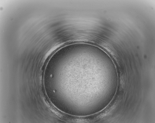 X0000088610933200706011224