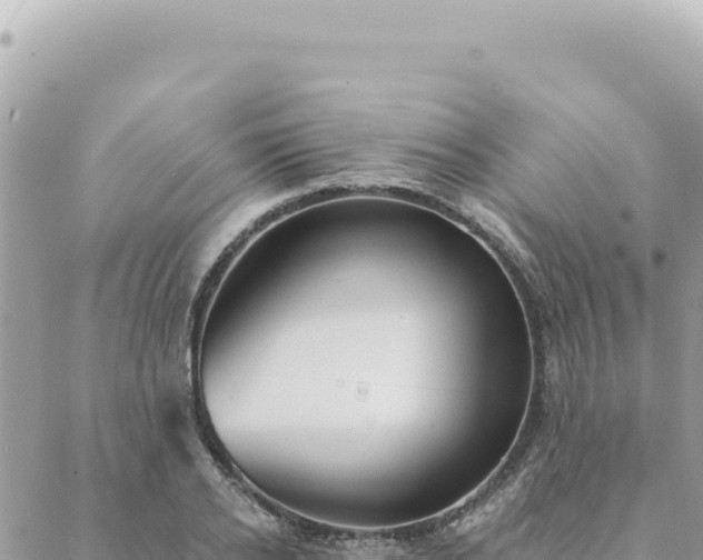 X0000088610934200706011224