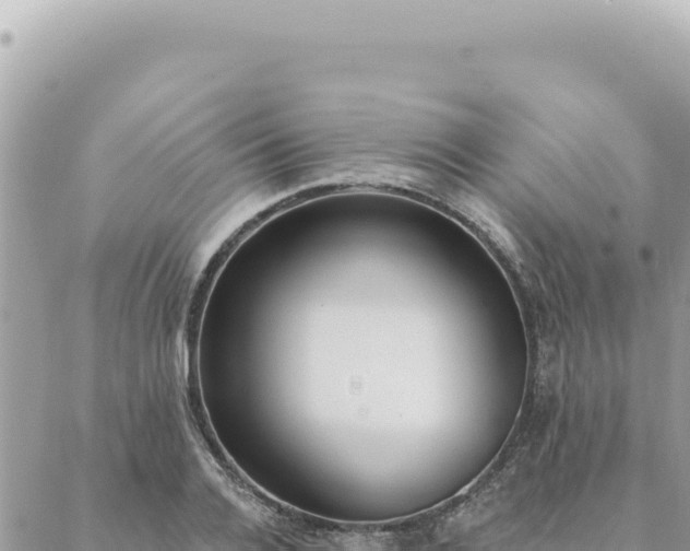 X0000088610936200706011224