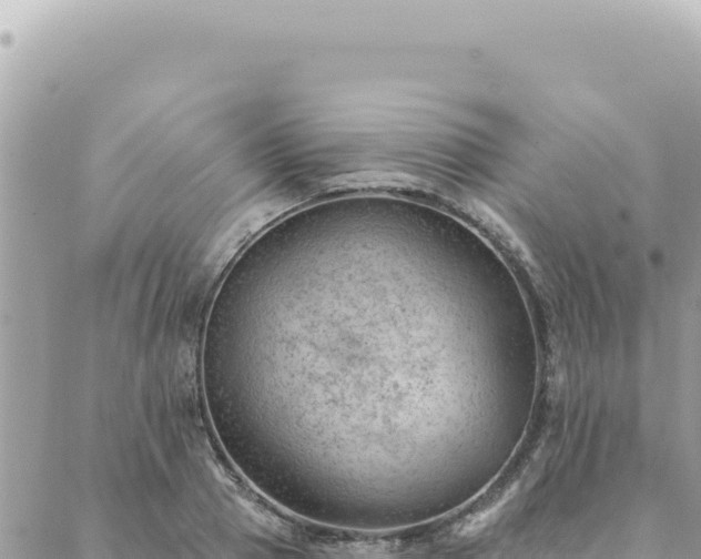 X0000088610937200706011224